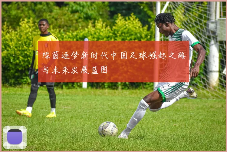 绿茵逐梦新时代中国足球崛起之路与未来发展蓝图