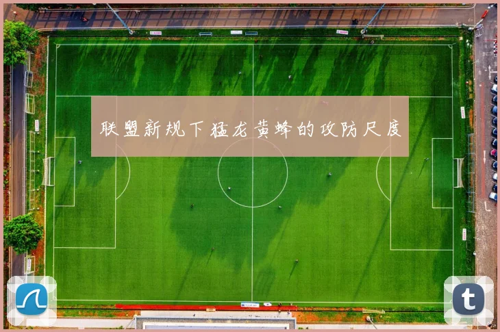 联盟新规下猛龙黄蜂的攻防尺度