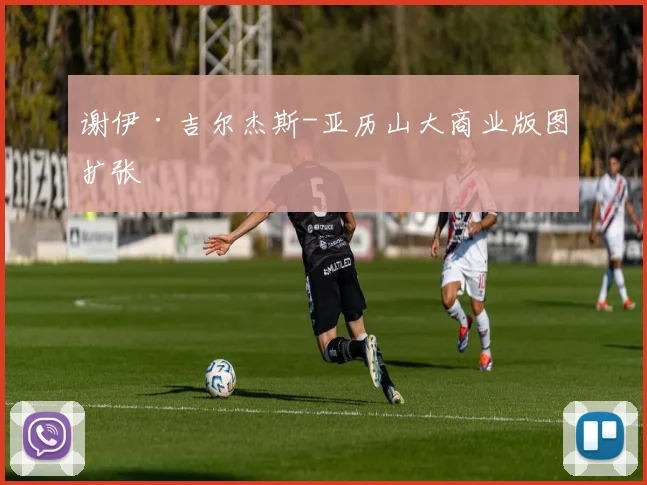 谢伊·吉尔杰斯-亚历山大商业版图扩张