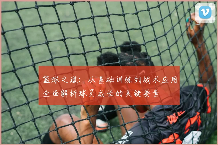 篮球之道：从基础训练到战术应用全面解析球员成长的关键要素